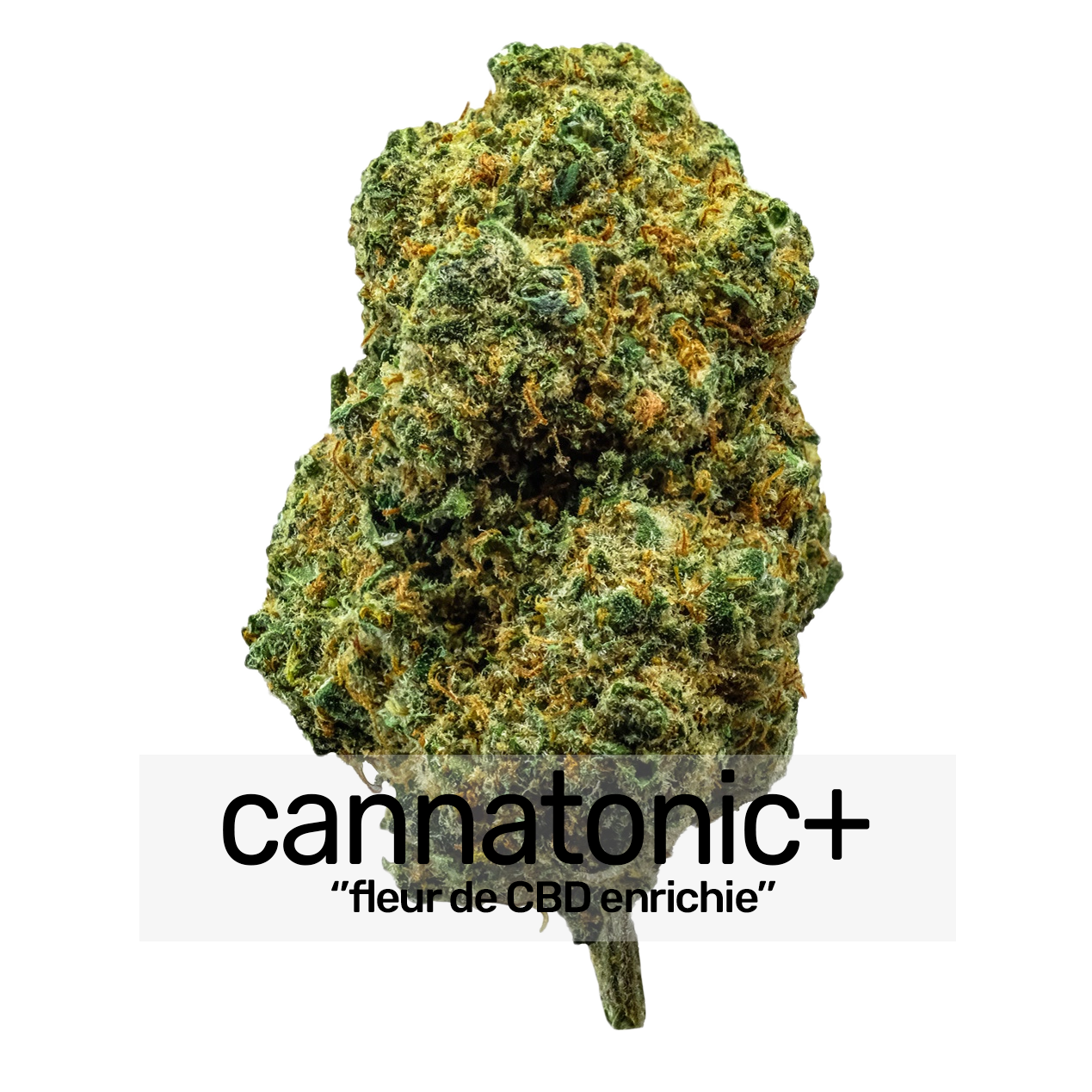 Cannatonic+